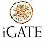 iGATE Global Solutions